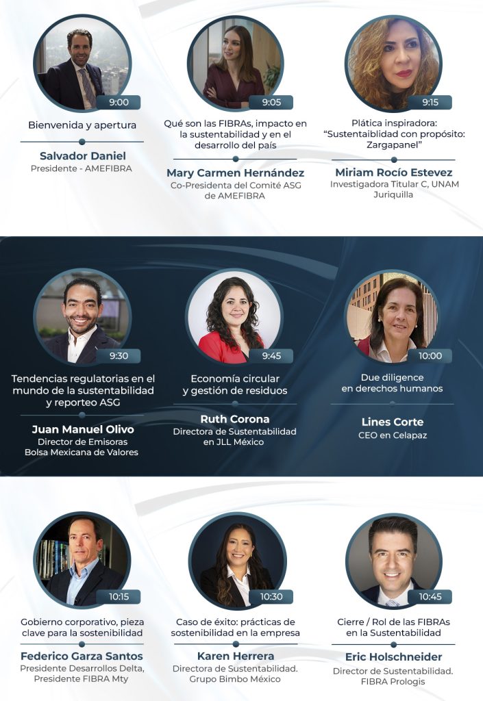 amefibra-2025-programa